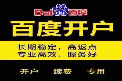 百度推广价格与竞品分析：一则成功案例分享